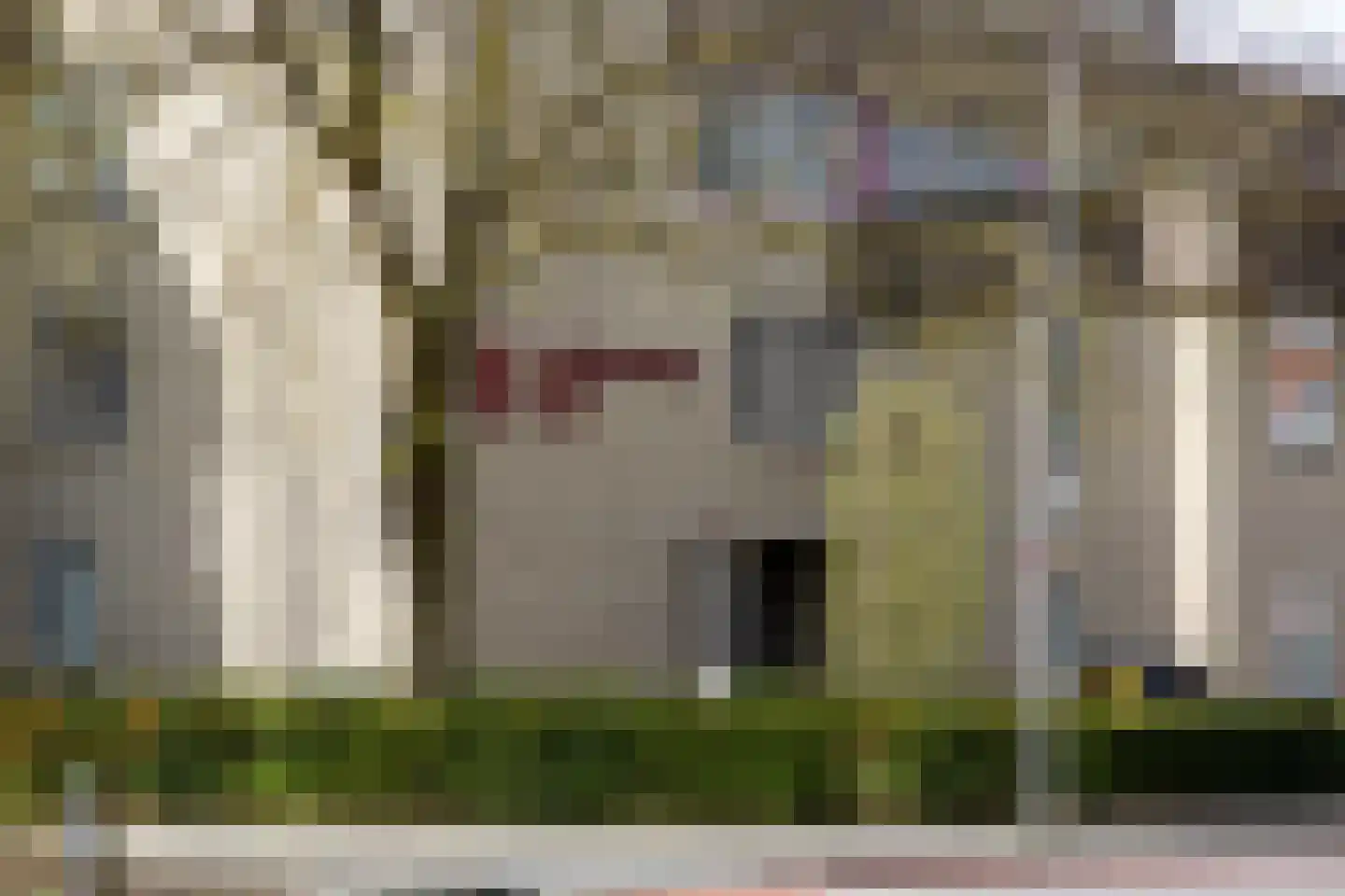 Aaltenseweg 10 d Lichtenvoorde thumbnail 37