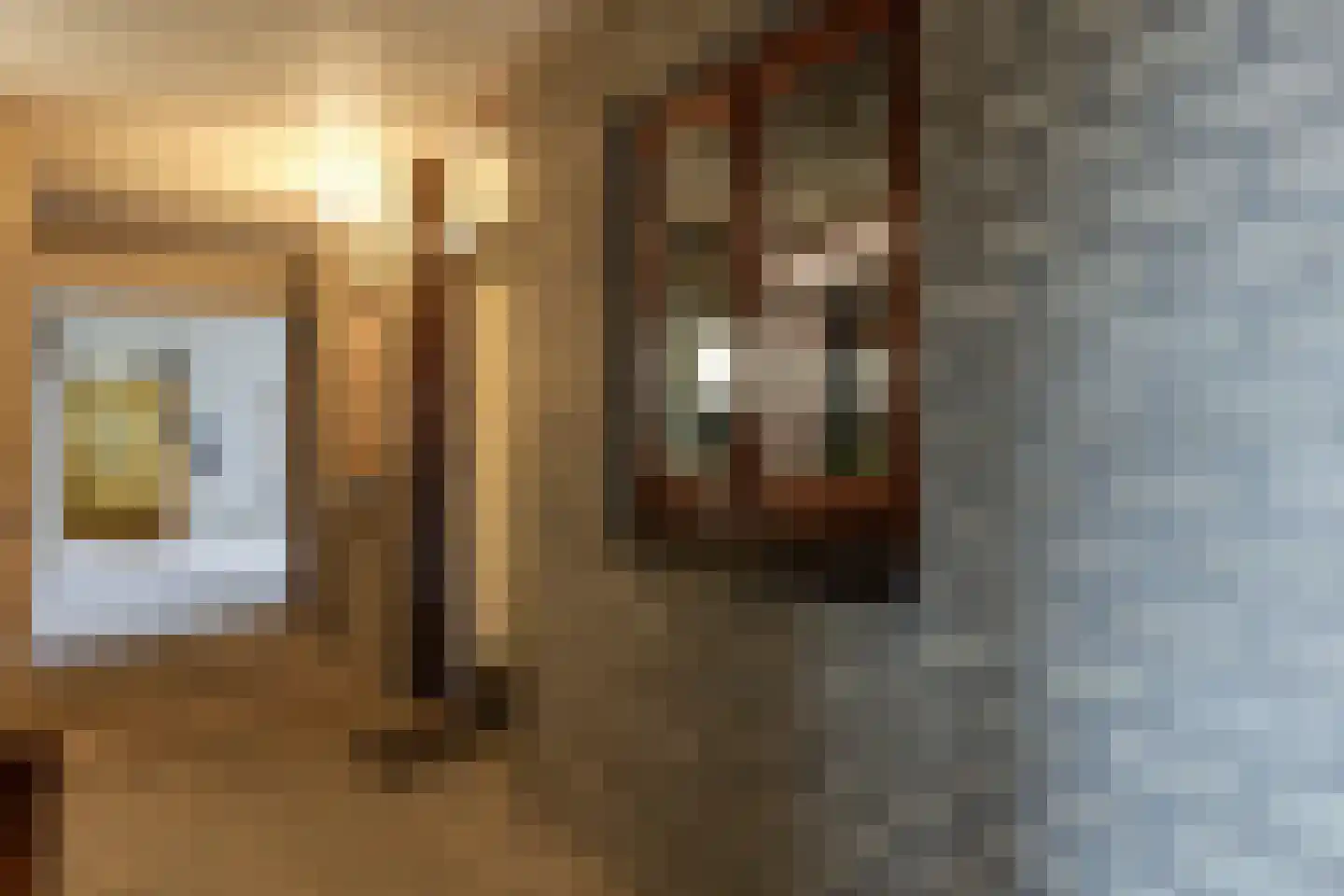 Aaltenseweg 10 d Lichtenvoorde thumbnail 7
