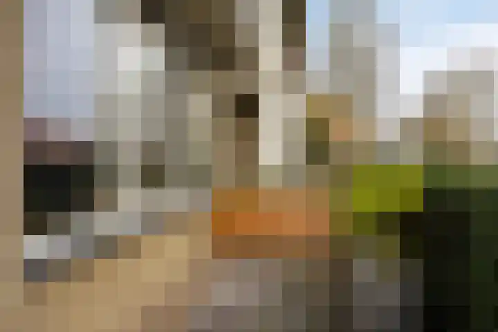 Aaltenseweg 10 f Lichtenvoorde thumbnail 25