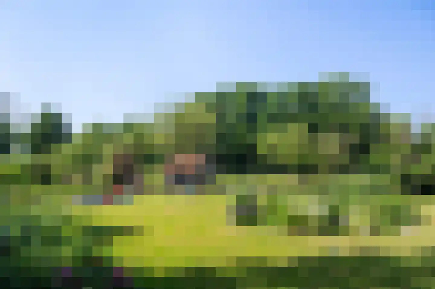 Aaltenseweg 109 Vragender thumbnail 26