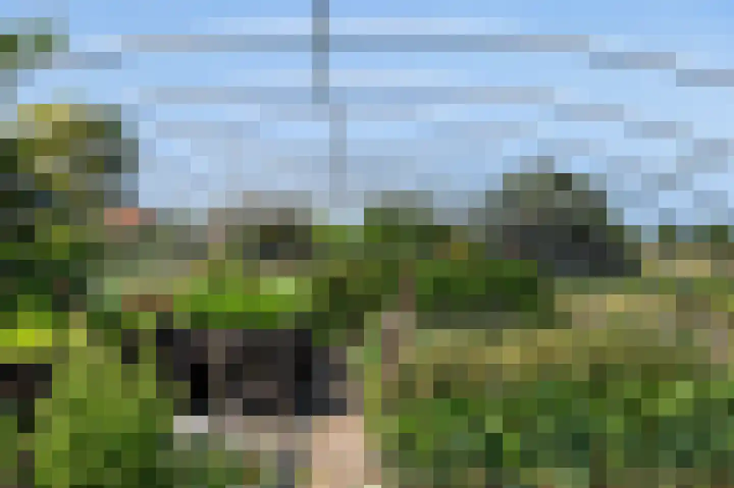 Aaltenseweg 109 Vragender thumbnail 27