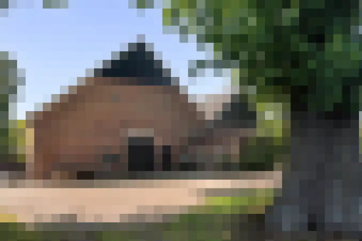 Aaltenseweg 109 Vragender thumbnail 29