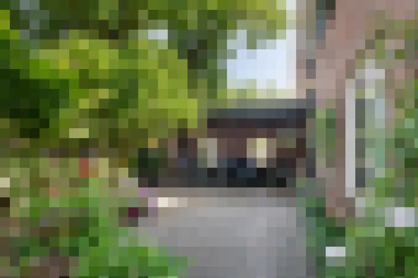 Aaltenseweg 109 Vragender thumbnail 36