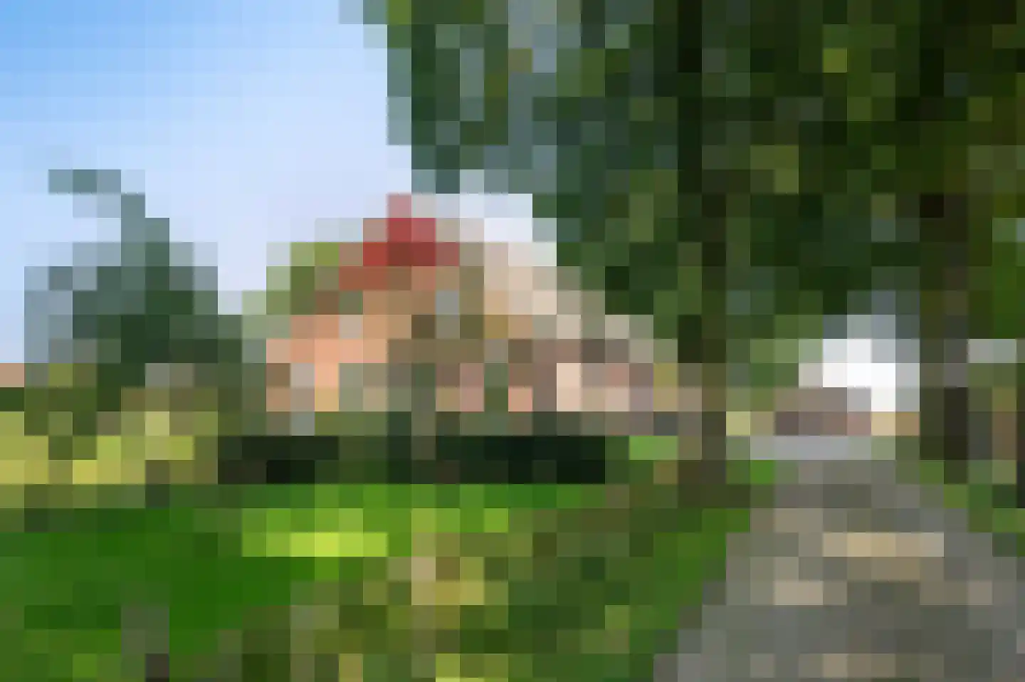Aaltenseweg 109 Vragender thumbnail 57