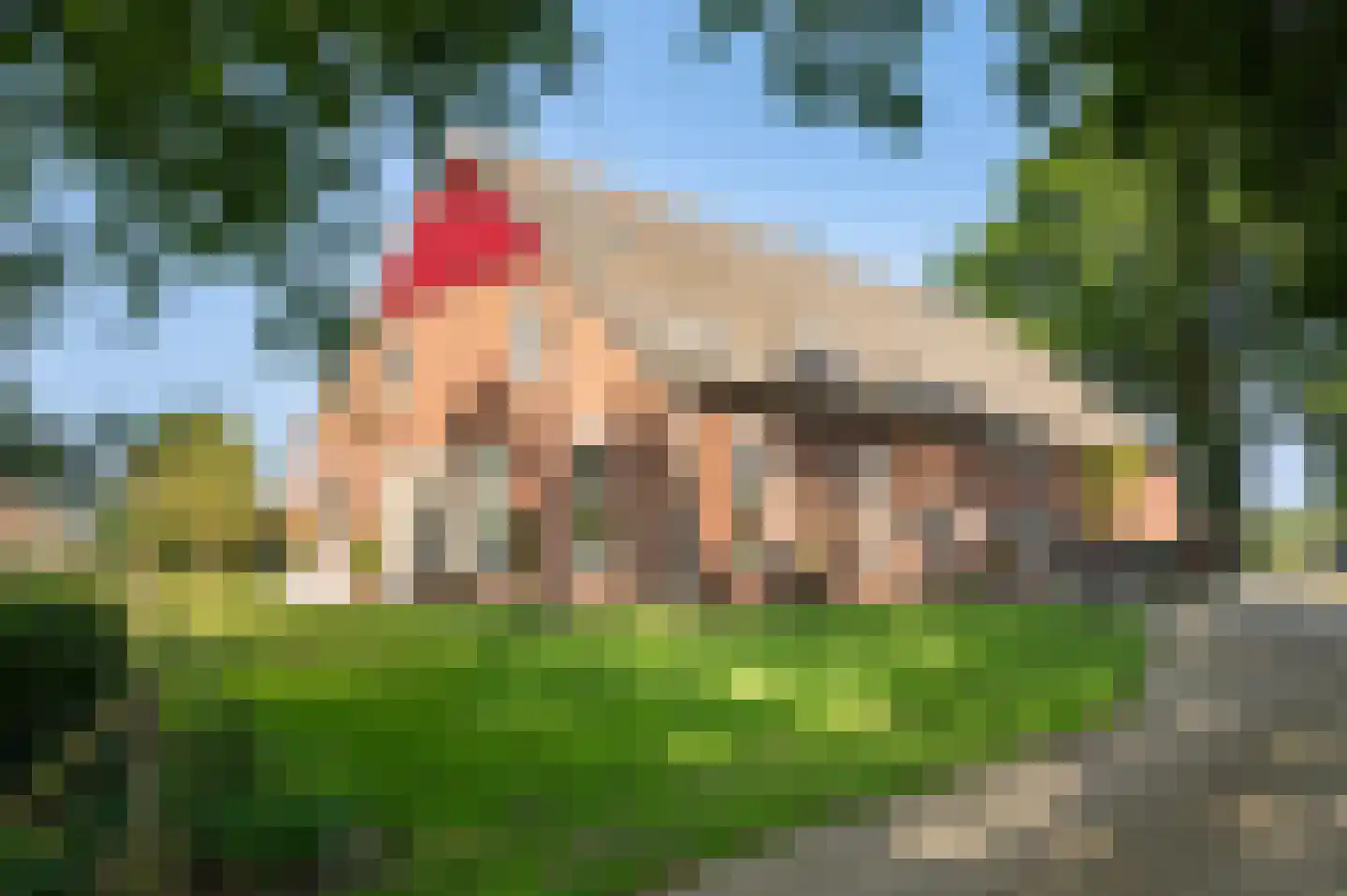 Aaltenseweg 109 Vragender thumbnail 58
