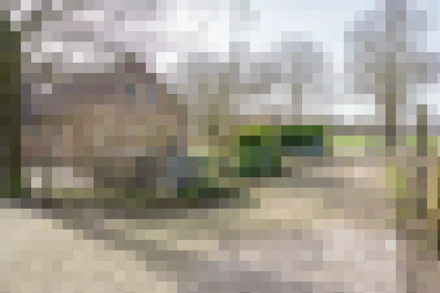 Aaltenseweg 18 a Zelhem thumbnail 13