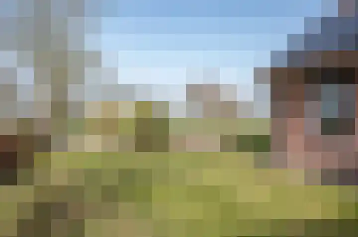 Aaltenseweg 18 a Zelhem thumbnail 16
