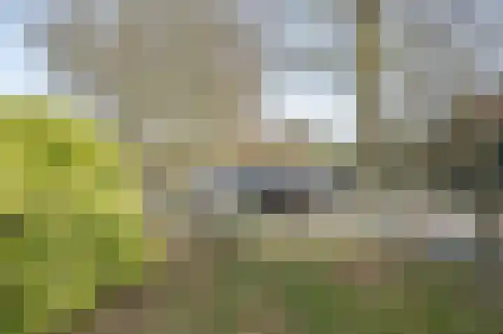 Aaltenseweg 18 a Zelhem thumbnail 19