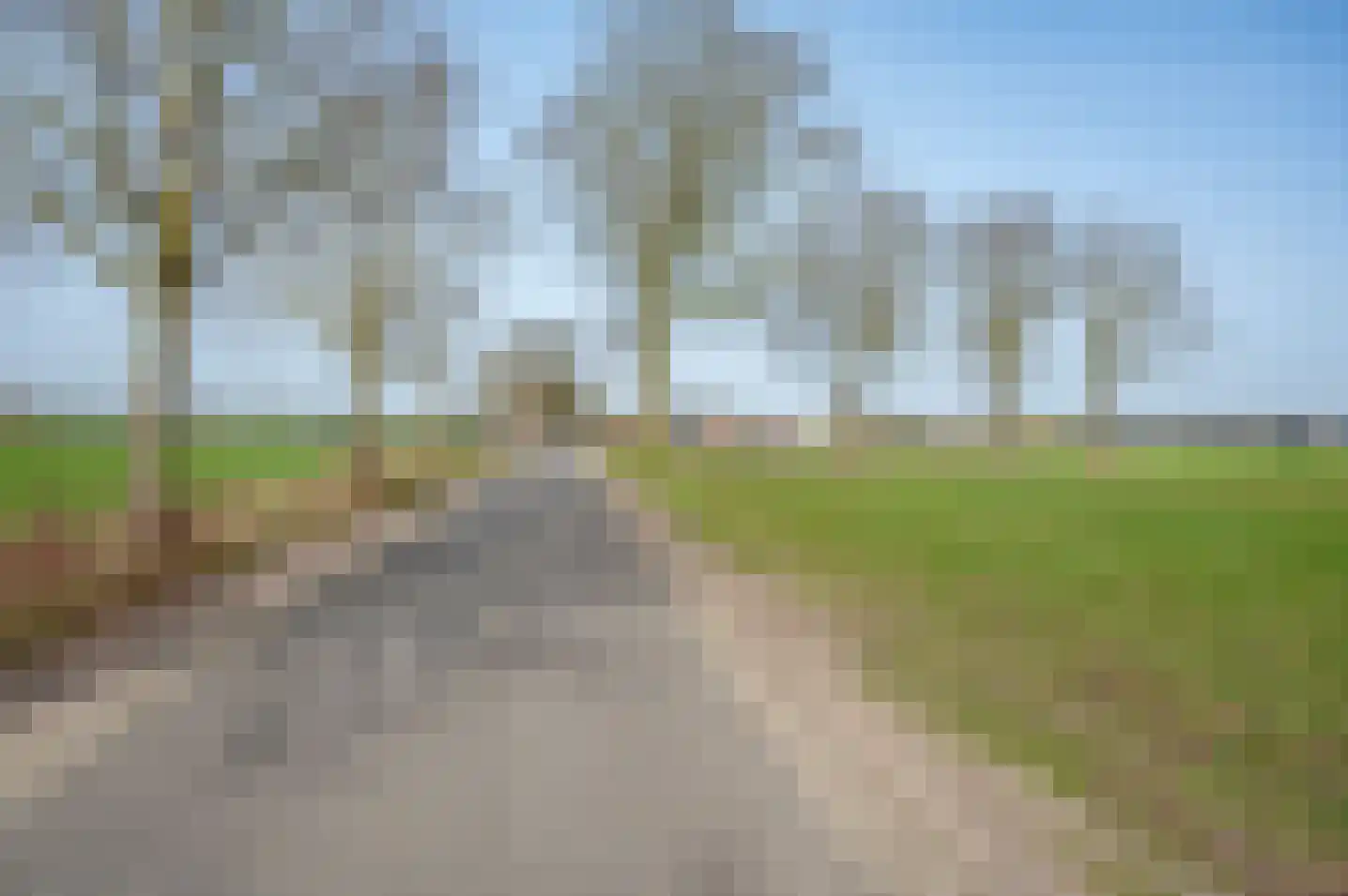 Aaltenseweg 18 a Zelhem thumbnail 44