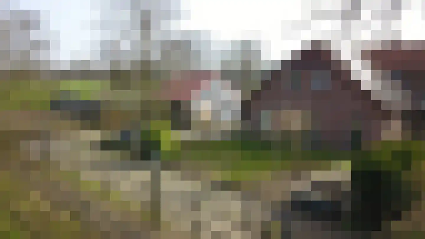 Aaltenseweg 18 a Zelhem thumbnail 5