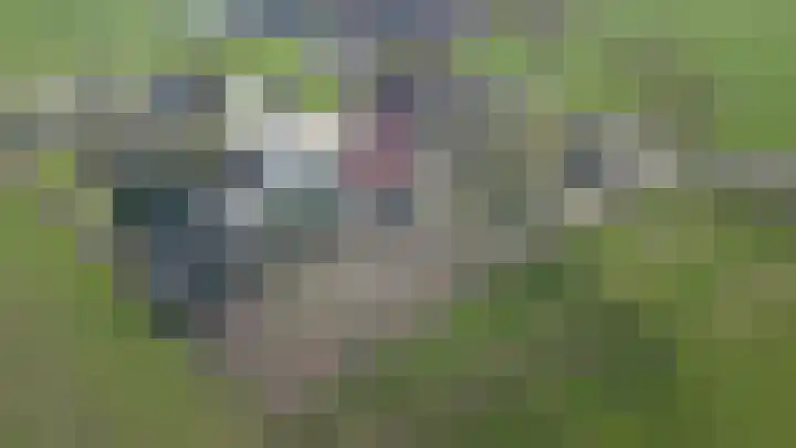Aaltenseweg 18 a Zelhem thumbnail 7