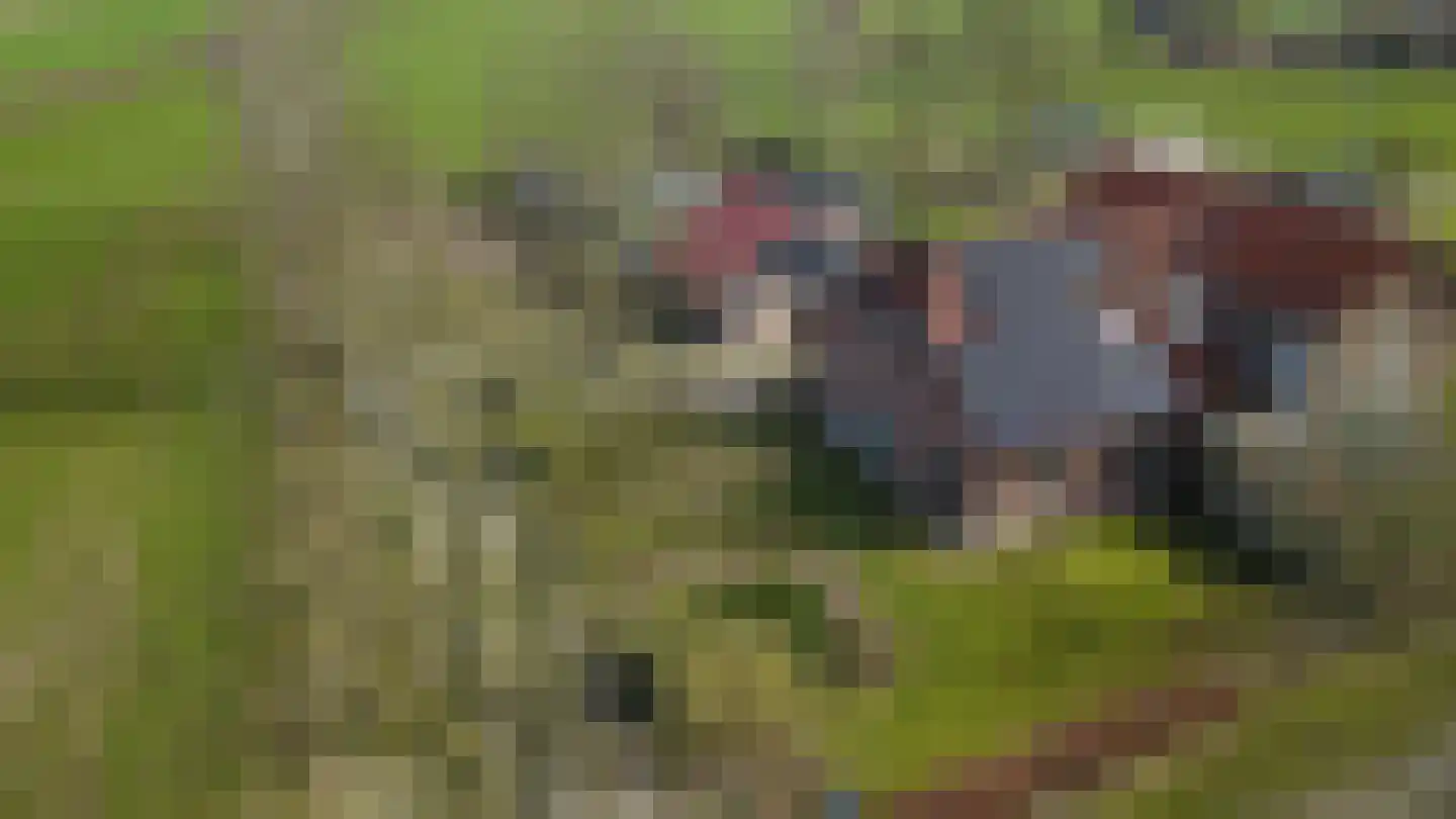 Aaltenseweg 18 a Zelhem thumbnail 7