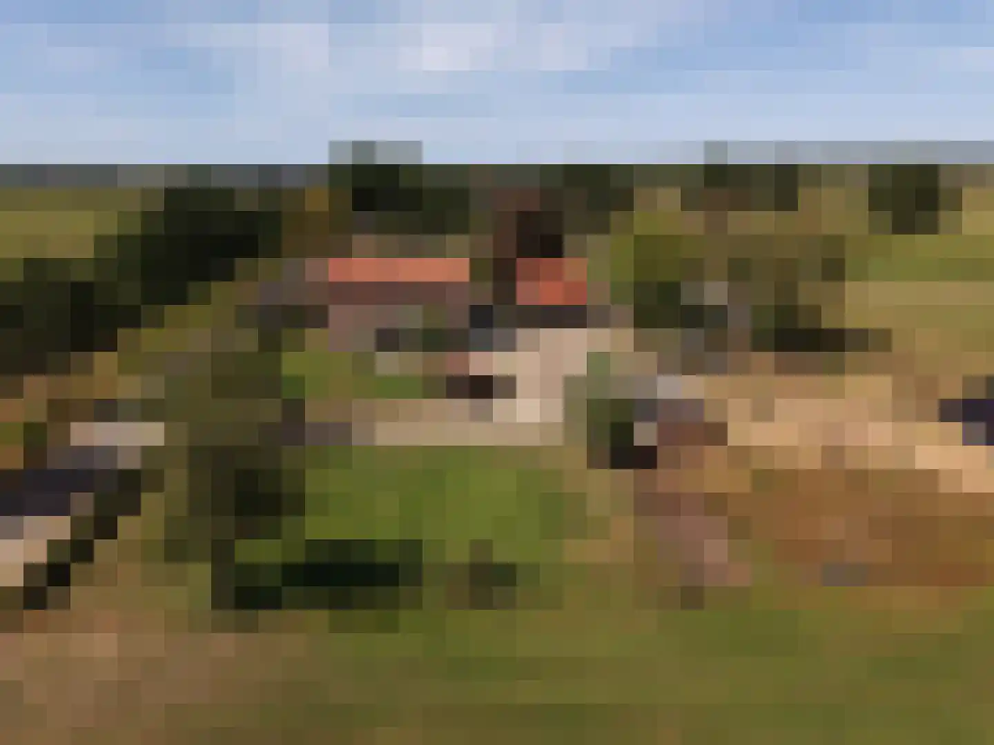 Aaltenseweg 18 Zelhem thumbnail 4