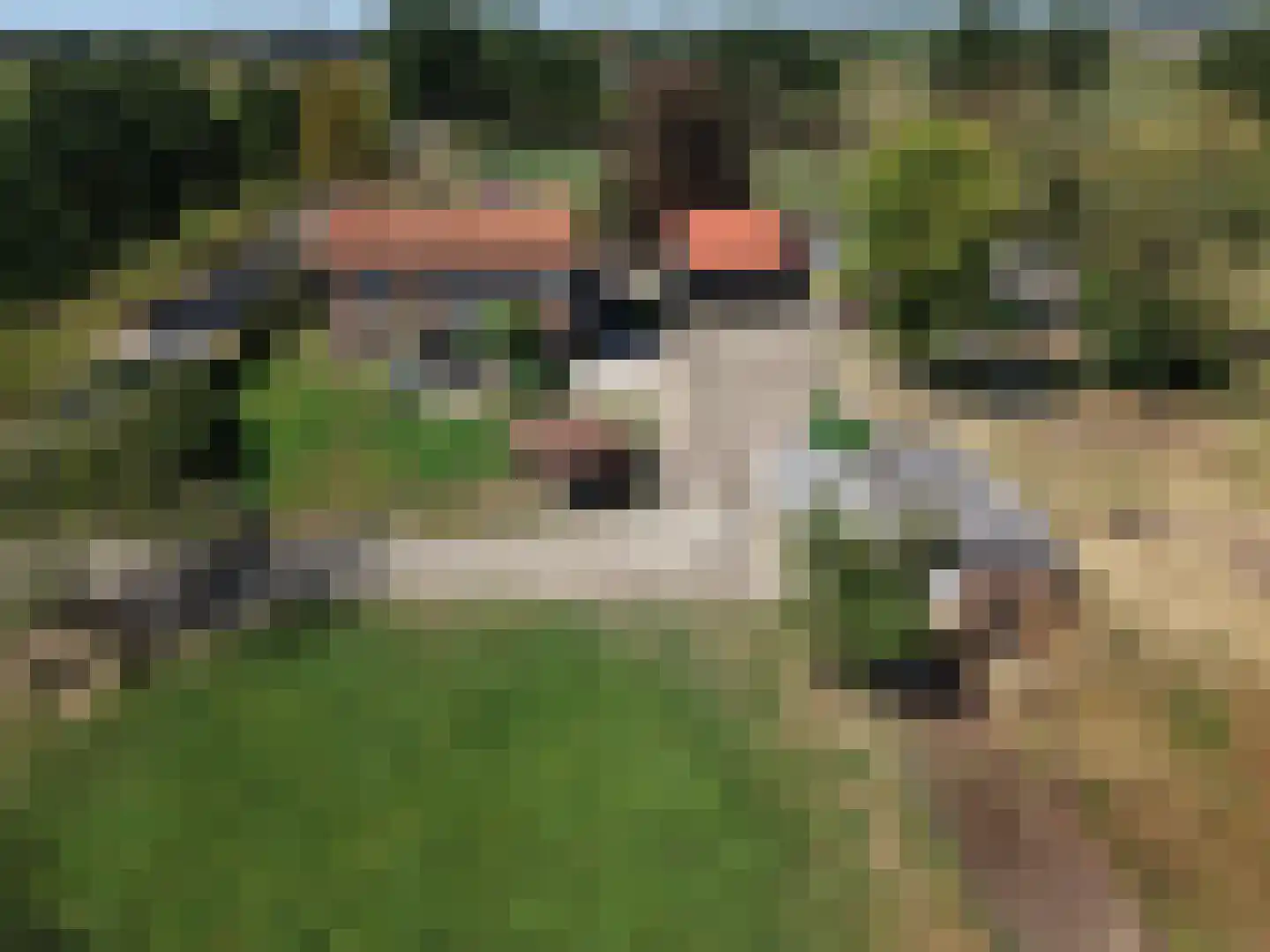 Aaltenseweg 18 Zelhem thumbnail 5