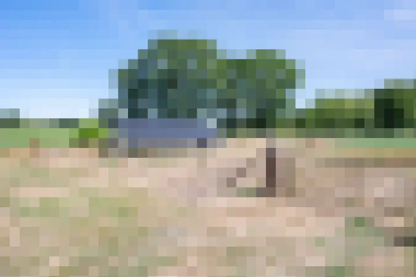 Aaltenseweg 18 Zelhem thumbnail 52