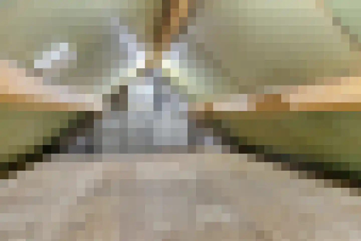 Aaltenseweg 2 Varsseveld thumbnail 38