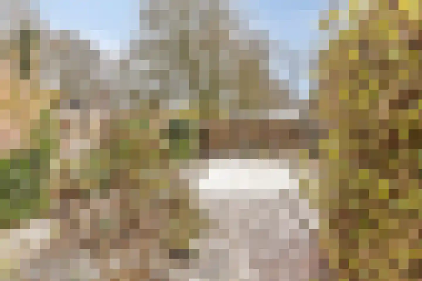 Aaltenseweg 2 Varsseveld thumbnail 42