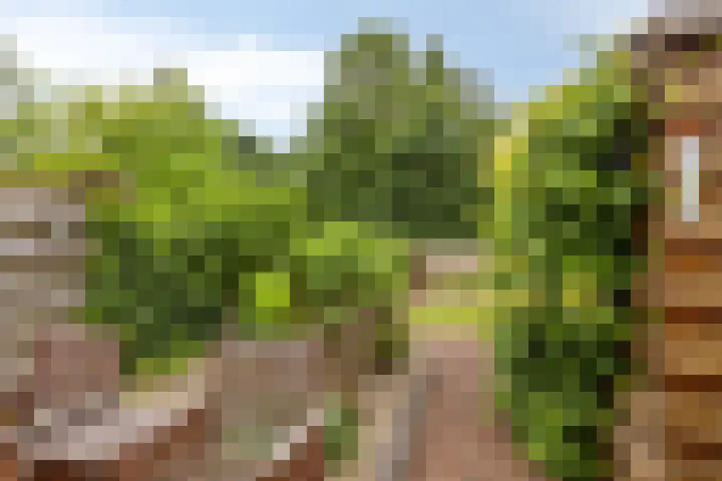 Aaltenseweg 2 Varsseveld thumbnail 42