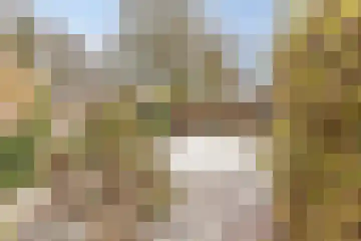 Aaltenseweg 2 Varsseveld thumbnail 42