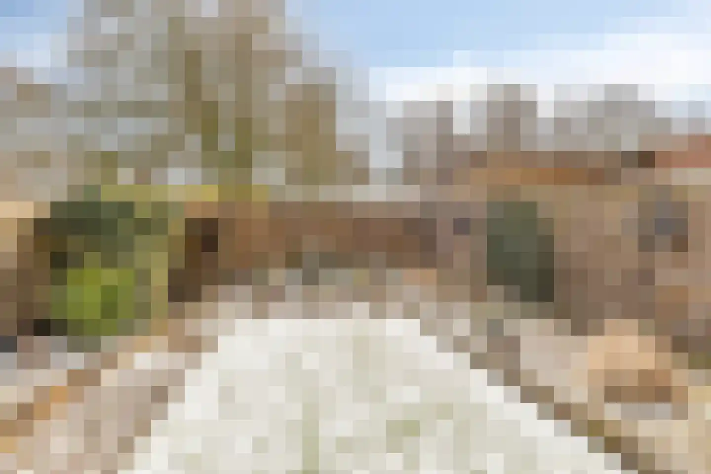 Aaltenseweg 2 Varsseveld thumbnail 43