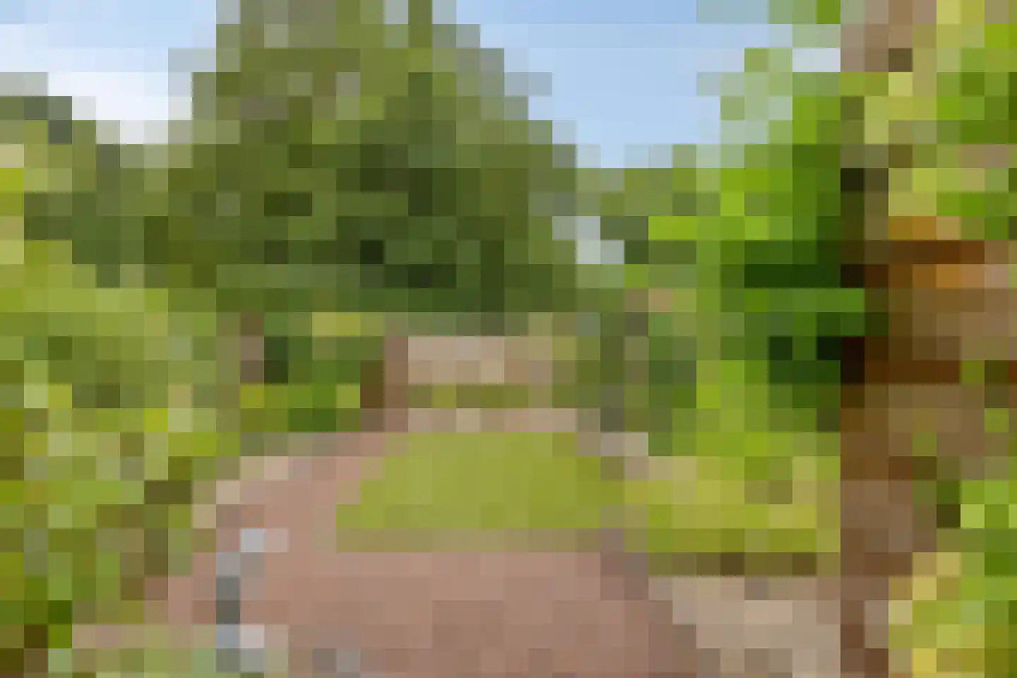 Aaltenseweg 2 Varsseveld thumbnail 43