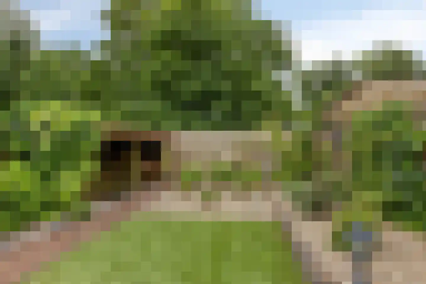 Aaltenseweg 2 Varsseveld thumbnail 44