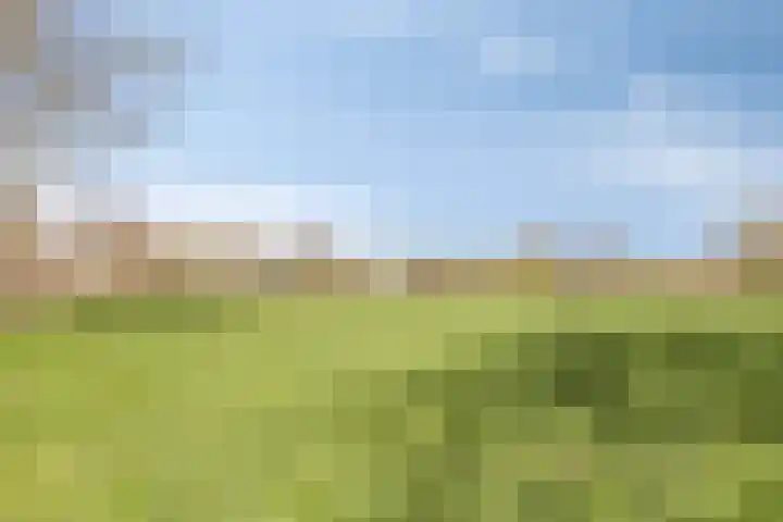 Aaltenseweg 2 Varsseveld thumbnail 44
