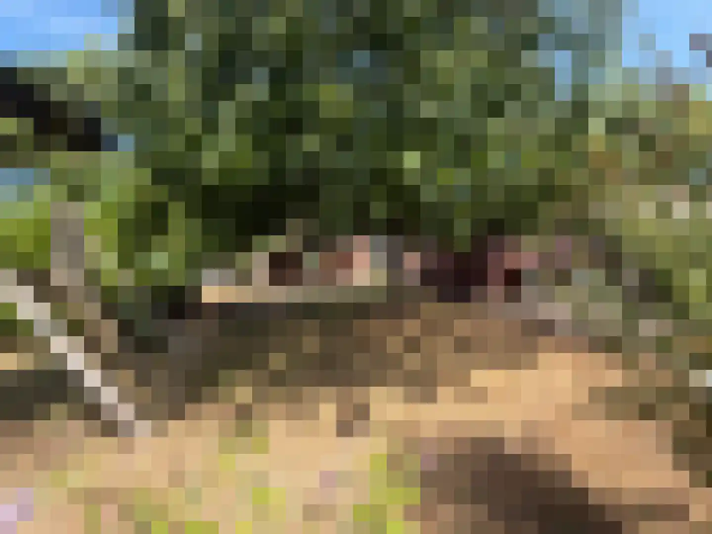 Aaltenseweg 28 Varsseveld thumbnail 10