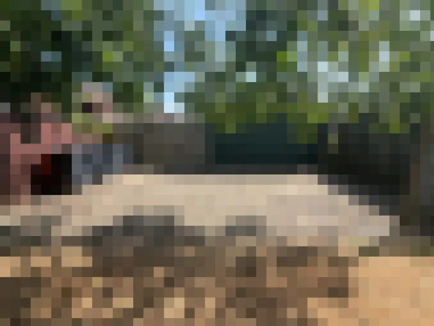 Aaltenseweg 28 Varsseveld thumbnail 12