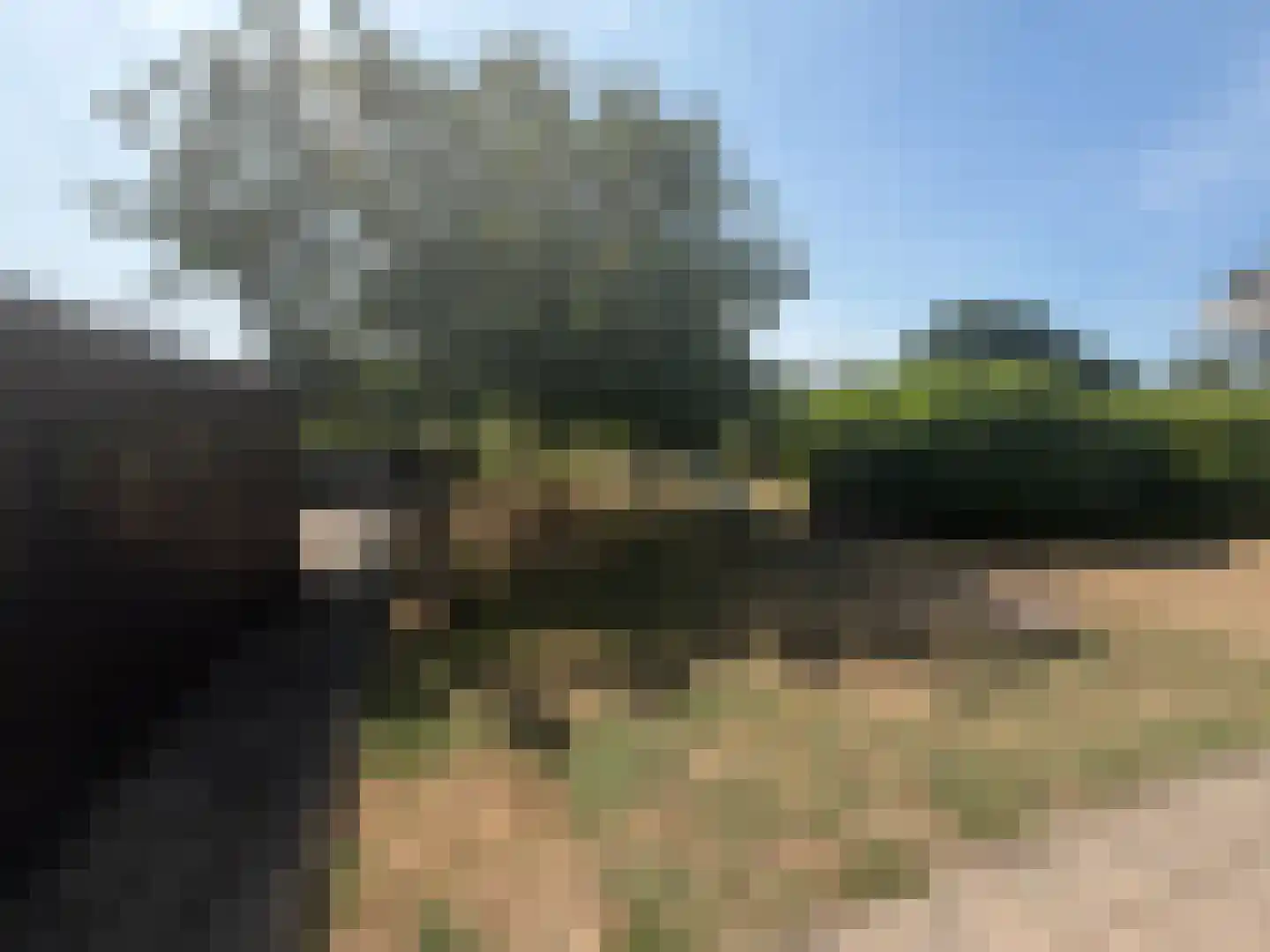 Aaltenseweg 28 Varsseveld thumbnail 8