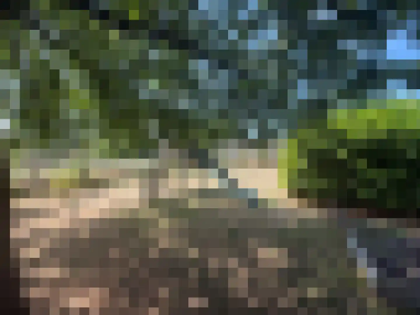 Aaltenseweg 28 Varsseveld thumbnail 9