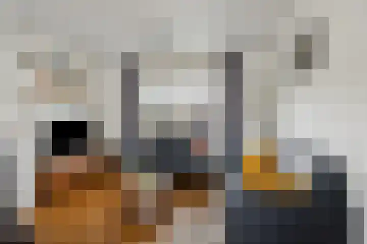 Aaltenseweg 30 Varsseveld thumbnail 11