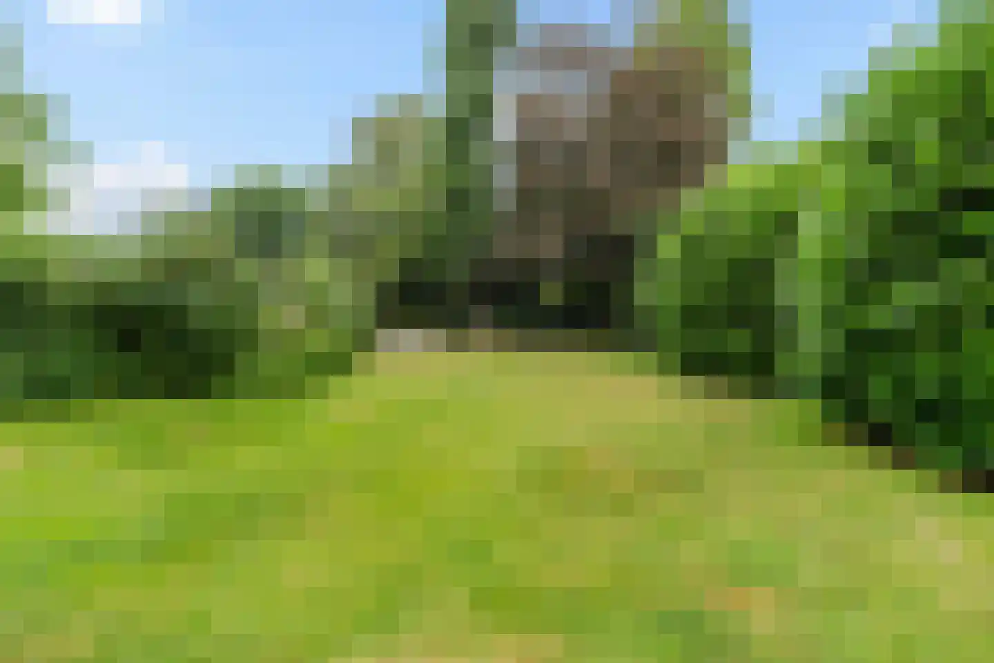 Aaltenseweg 41 Varsseveld thumbnail 32