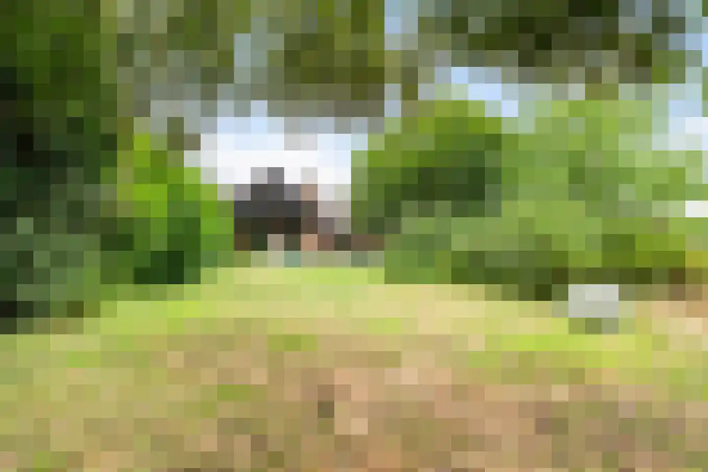 Aaltenseweg 41 Varsseveld thumbnail 33