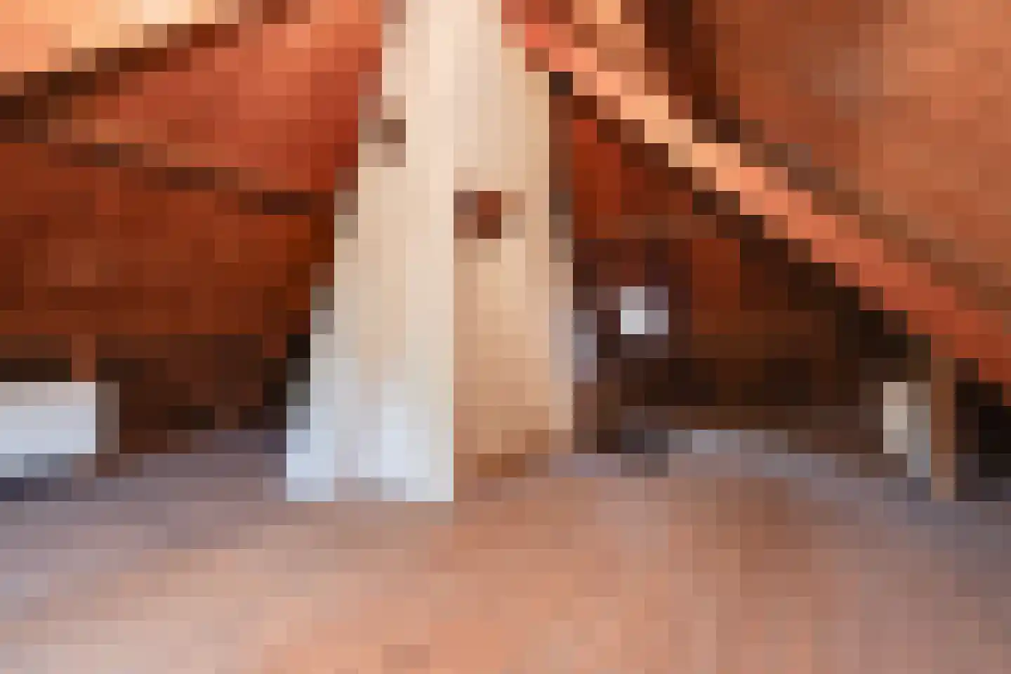 Aaltenseweg 42 Lichtenvoorde thumbnail 38