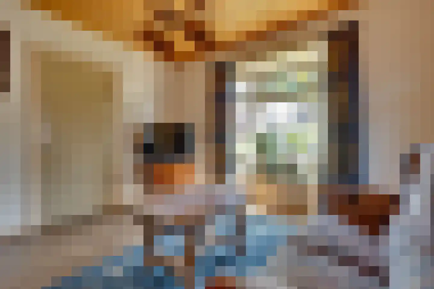 Aaltenseweg 42 Lichtenvoorde thumbnail 4