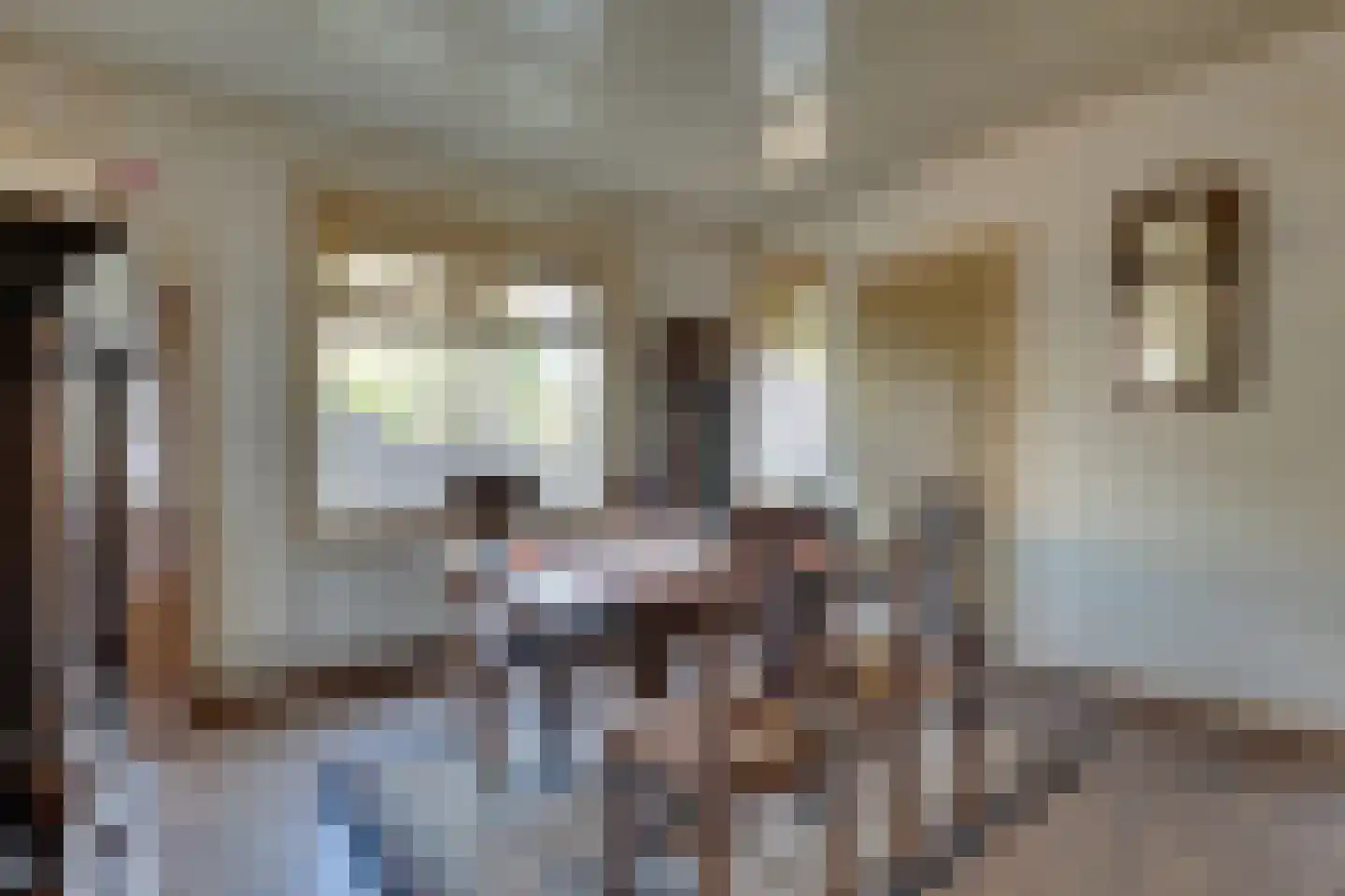Aaltenseweg 42 Lichtenvoorde thumbnail 7