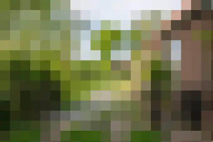 Aaltenseweg 5 Zelhem thumbnail 11