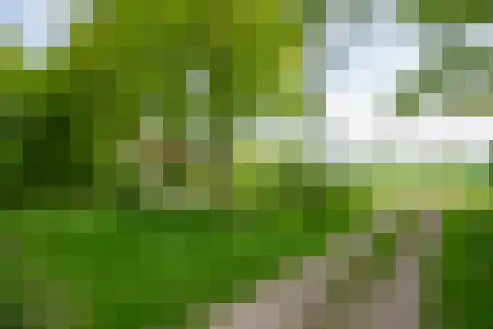 Aaltenseweg 5 Zelhem thumbnail 13