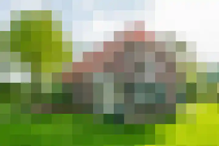 Aaltenseweg 5 Zelhem thumbnail 17