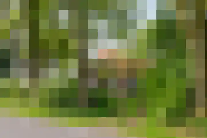 Aaltenseweg 5 Zelhem thumbnail 4