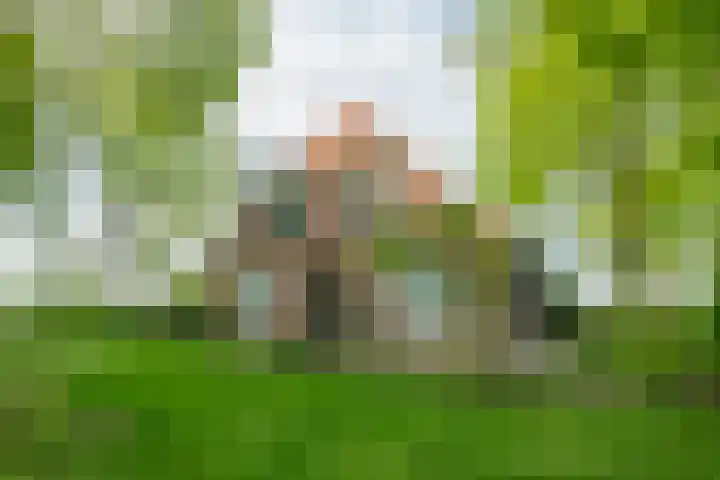 Aaltenseweg 5 Zelhem thumbnail 5