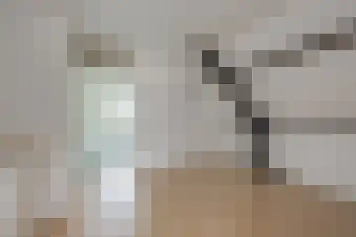 Aaltenseweg 5 Zelhem thumbnail 50