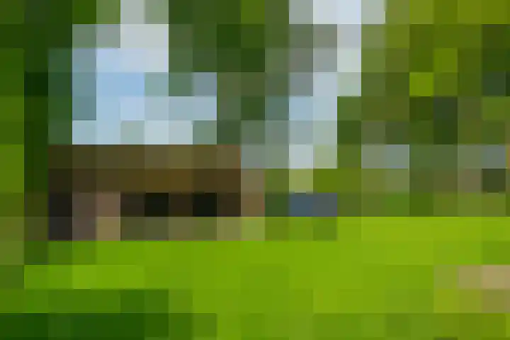 Aaltenseweg 5 Zelhem thumbnail 66
