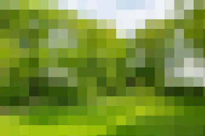 Aaltenseweg 5 Zelhem thumbnail 68