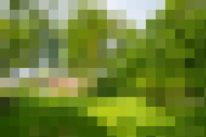 Aaltenseweg 5 Zelhem thumbnail 70