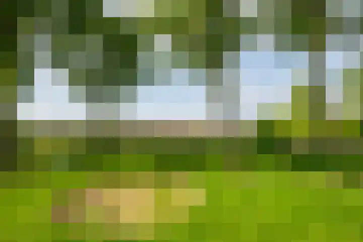 Aaltenseweg 5 Zelhem thumbnail 73