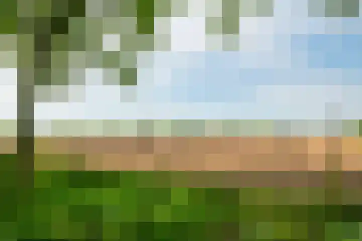 Aaltenseweg 5 Zelhem thumbnail 75