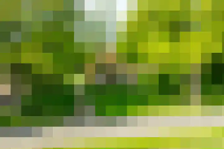 Aaltenseweg 5 Zelhem thumbnail 8