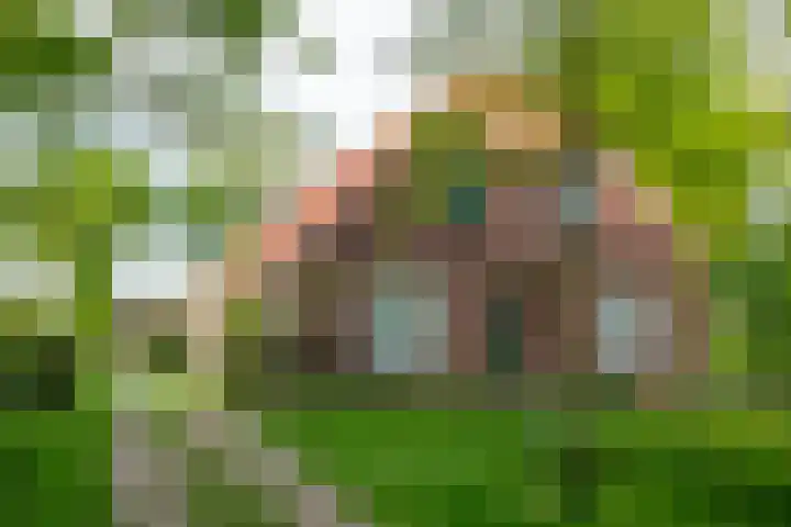 Aaltenseweg 5 Zelhem thumbnail 9